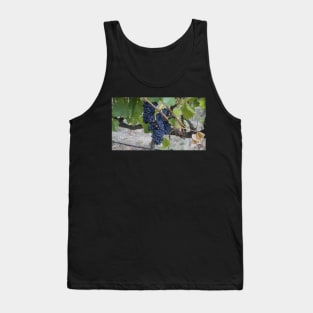 I saw it on the Grape Vine Tank Top